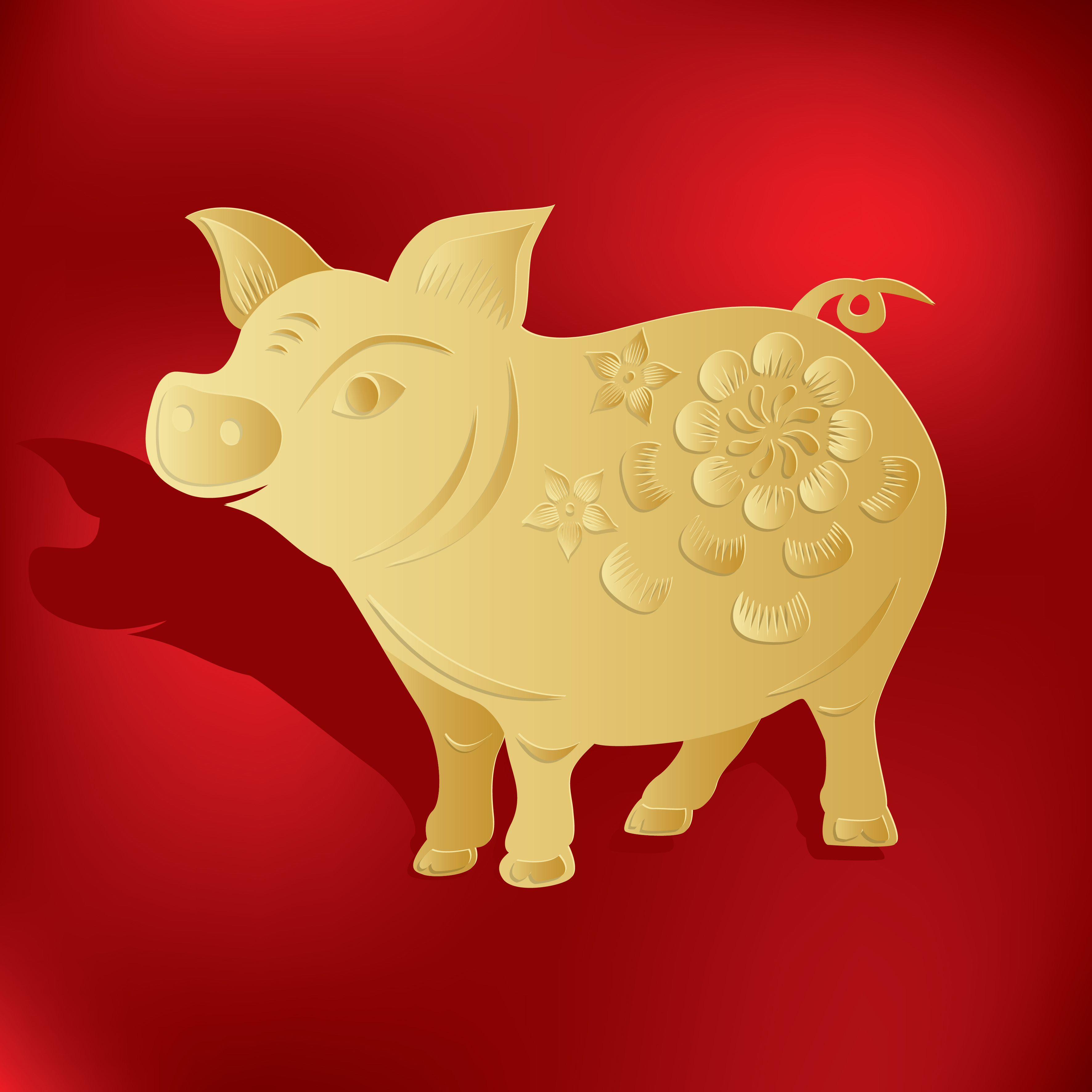 Aucun message non lu